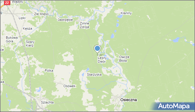 mapa Leśny Dwór, Leśny Dwór gmina Osieczna na mapie Targeo